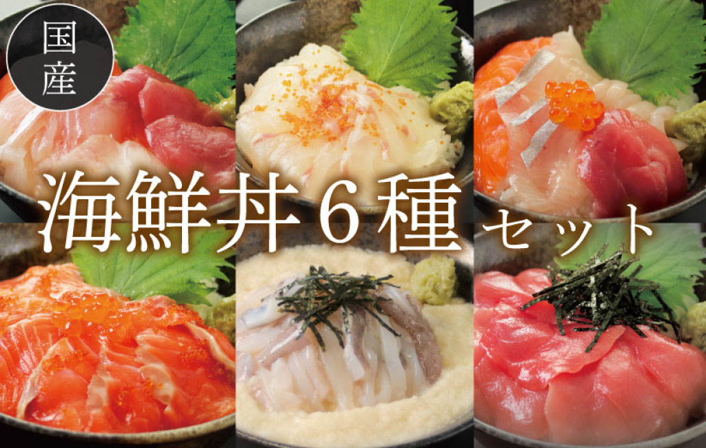 海鮮丼6種