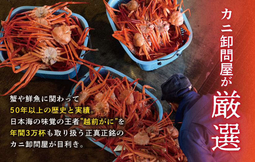 越前産カット生紅ずわい蟹　1.8㎏　鮮魚丸松　(足・肩・ツメ)　通販ストア