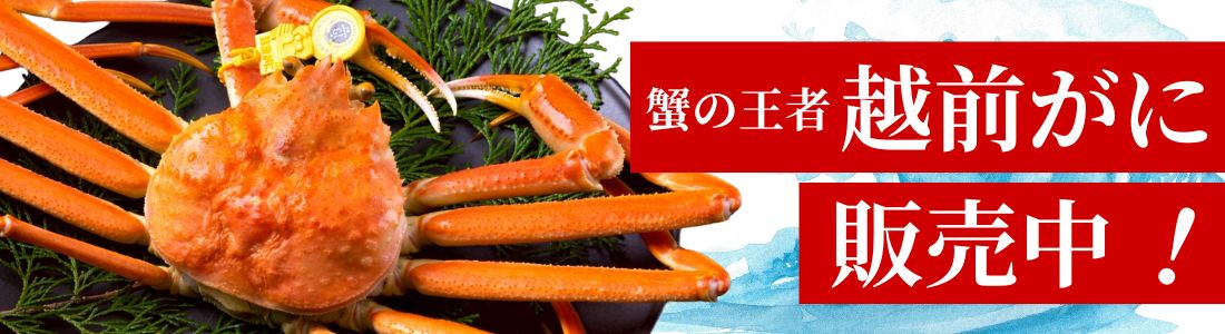 越前がに 蟹 ギフト カニ